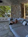 vanessa.rhd Altpins Profile Picture