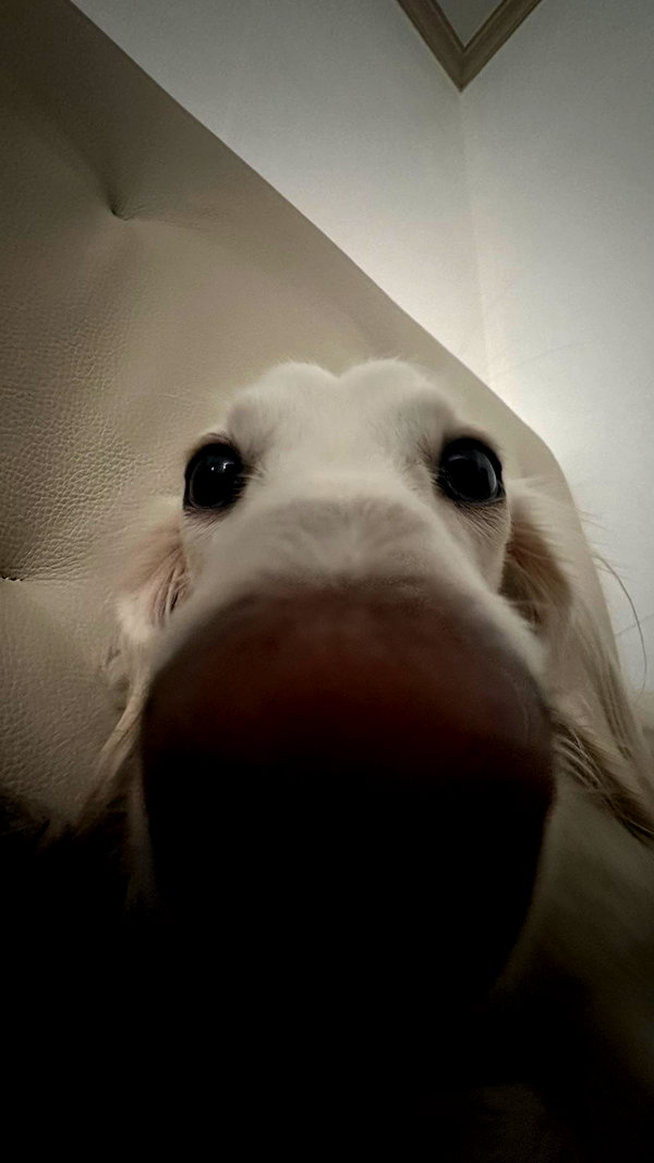 Archived image from @heroineseen on Instagram