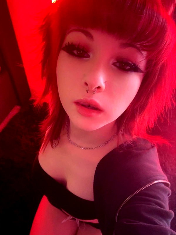 soupikitty archive image