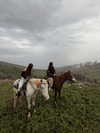 daria.temnik1 Altpins Profile Picture