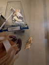 sophiecharlotth Altpins Profile Picture