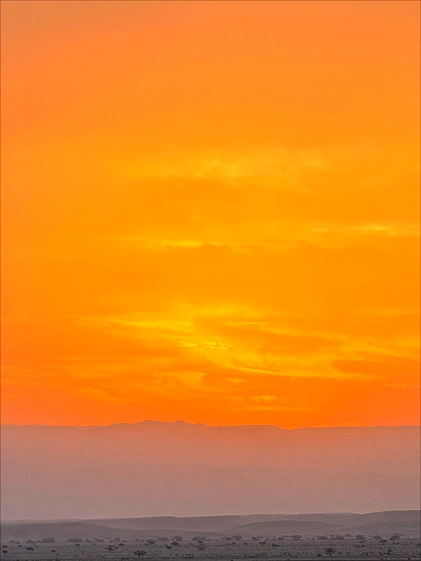 tamar_tsur instagram image archive image