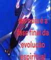 ambrzinha666 Altpins Profile Picture