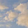 yuna_1_27 Altpins Profile Picture
