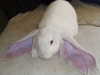 mariagabrielasantos Altpins Profile Picture