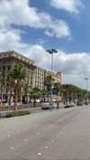 federica.piccinni Altpins Profile Picture