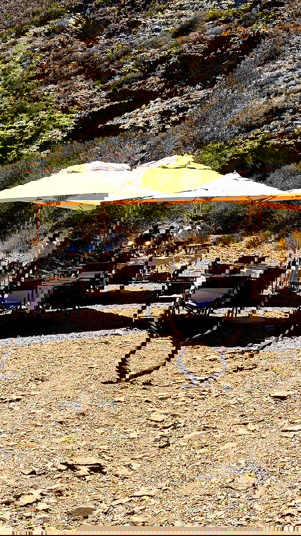 taylor.creeden taylor.creeden archive image