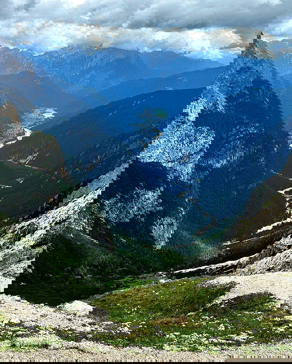 taylor.creeden taylor.creeden archive image