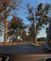 gritsa.k Altpins Profile Picture