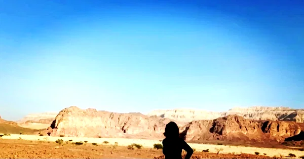 reine_klanfer instagram image archive image