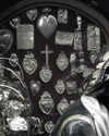 fleshporcelain Altpins Profile Picture