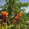 avital_1010.2003 Altpins Profile Picture