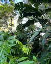 rouxroux.tv Altpins Profile Picture