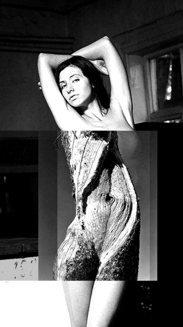 emleecordeiro instagram image archive image
