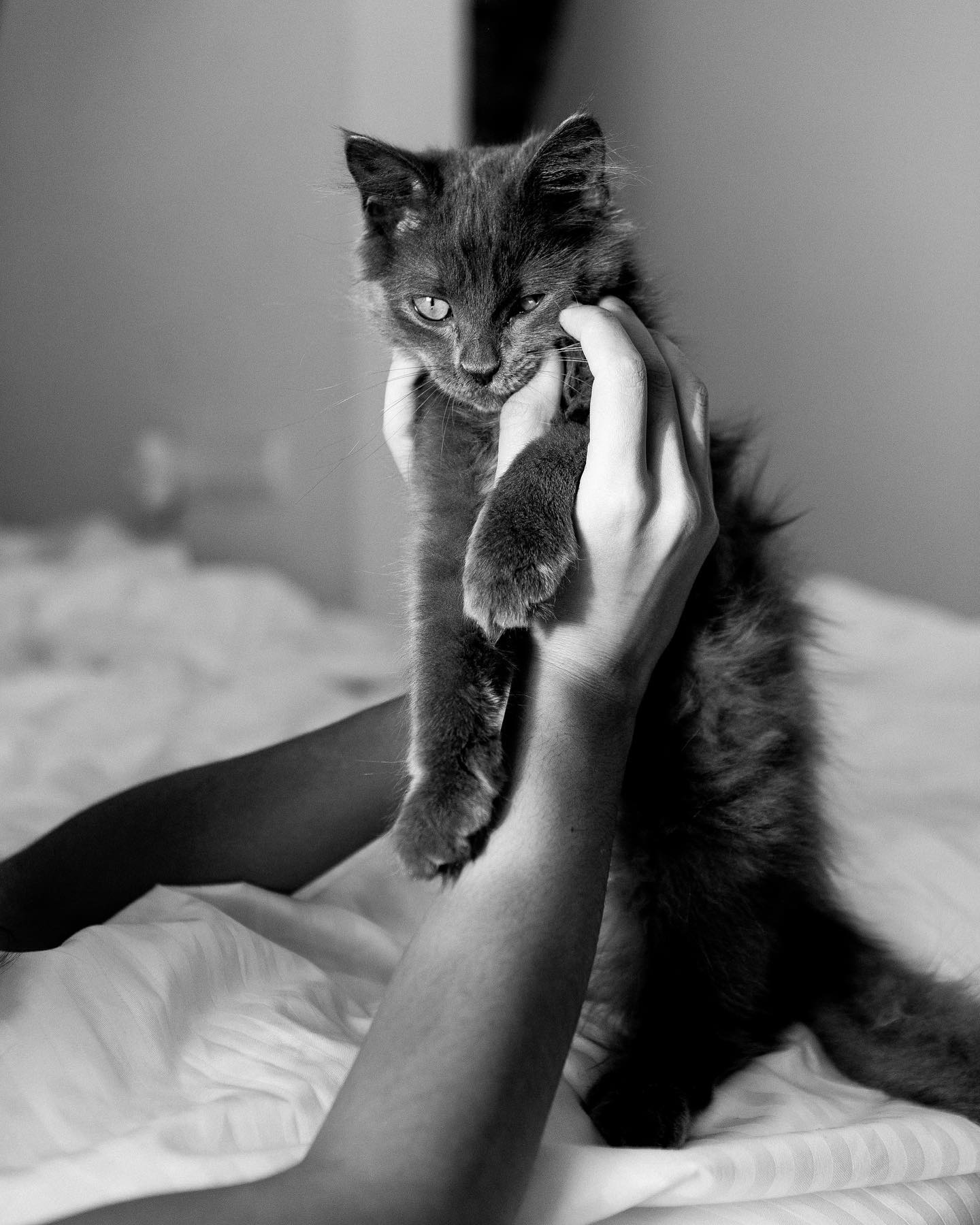 kkulakovaa instagram image archive image