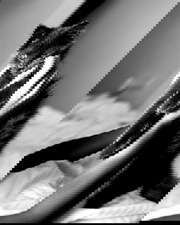 kkulakovaa image ~ Altpins