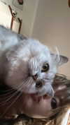 f4iryybl00d Altpins Profile Picture