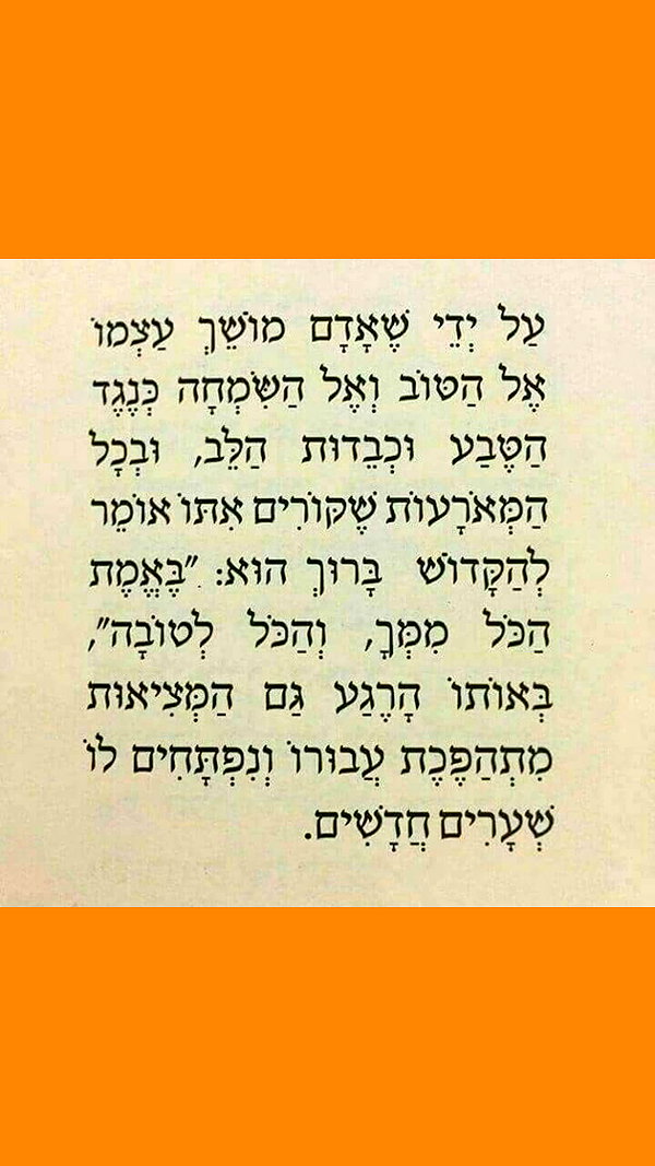 shahar__hauon instagram image archive image