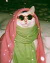 ellaexplicit_ Altpins Profile Picture