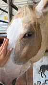 efrat_elmalich Altpins Profile Picture