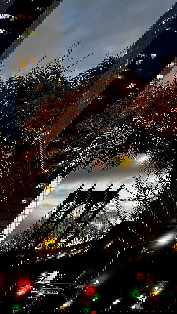 taylor.creeden taylor.creeden archive image