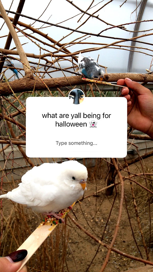Archived image from @slashersyndrome on Instagram