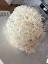 indra0102_ Altpins Profile Picture