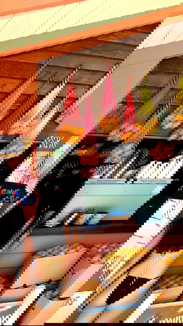 taylor.creeden taylor.creeden archive image