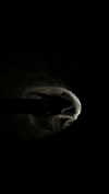 vvelum_ Altpins Profile Picture