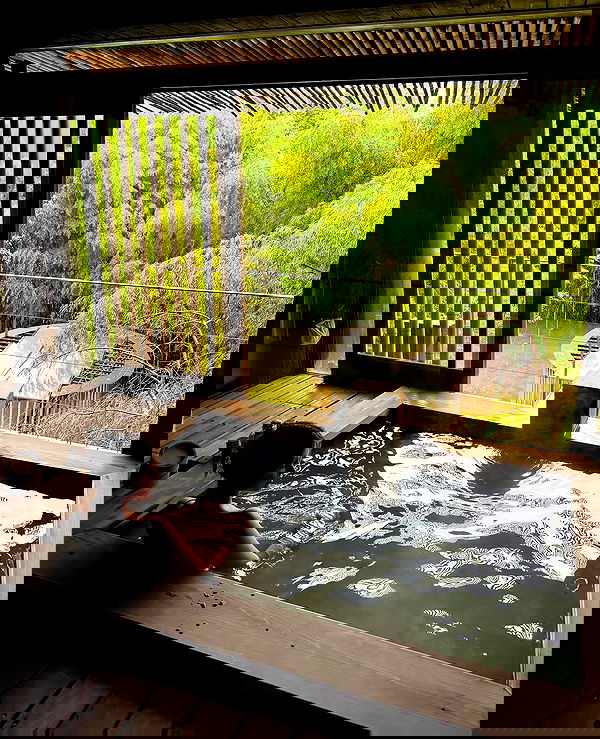 taylor.creeden taylor.creeden archive image