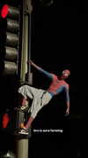 nevaaadaa Altpins Profile Picture
