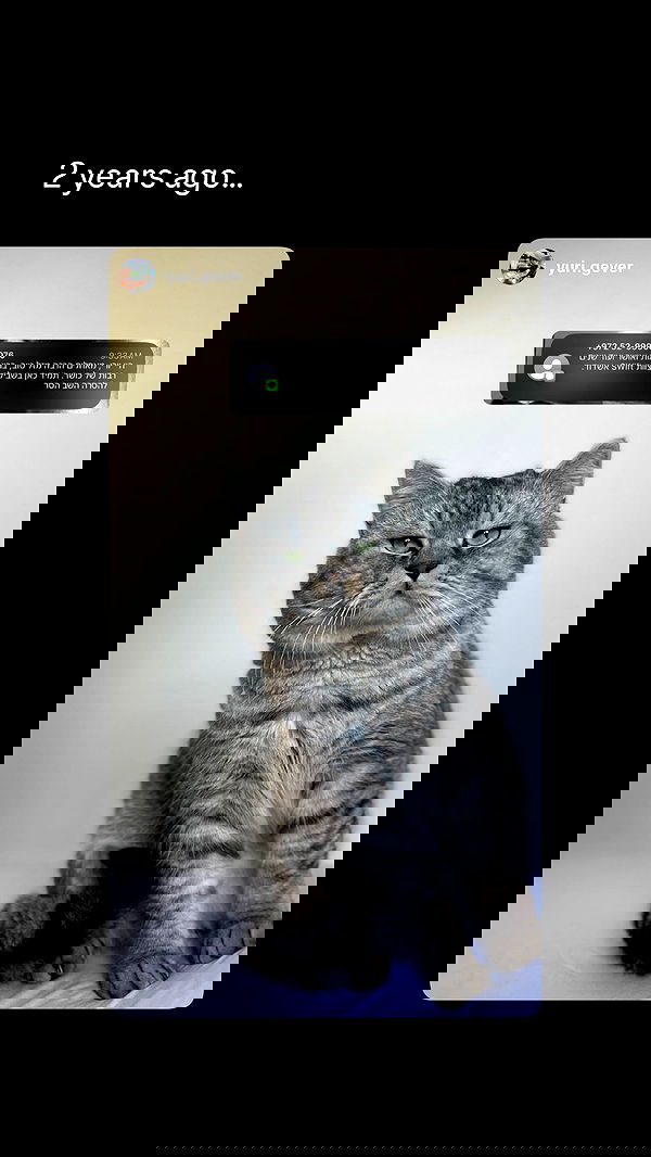 yuri.gever yuri.gever archive image