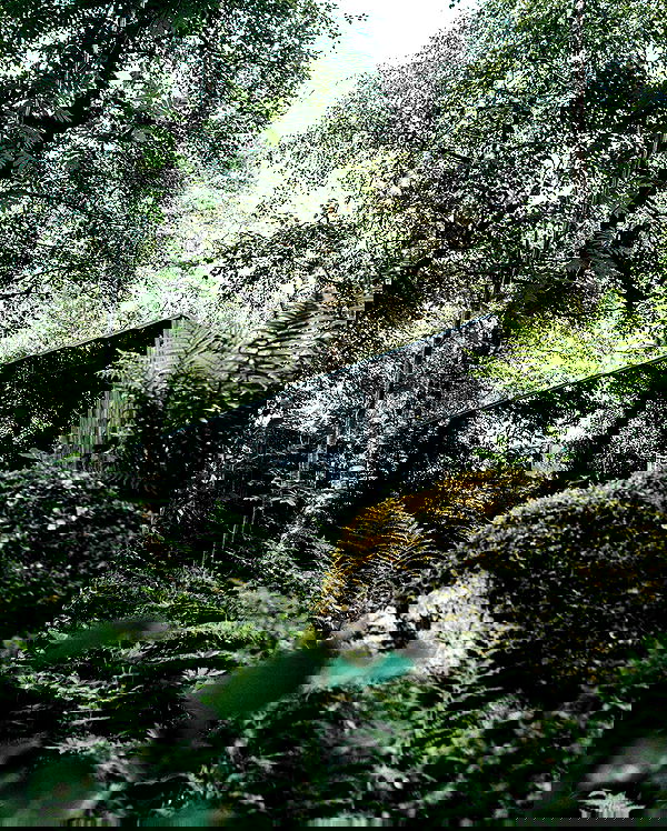 taylor.creeden taylor.creeden archive image