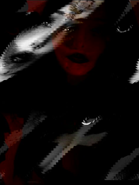 vioraxo vioraxo archive image