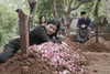 ratusfy_ Altpins Profile Picture