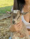 nadiabennt Altpins Profile Picture