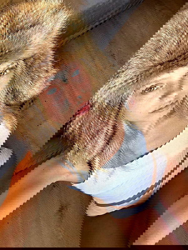 sofykil sofykil archive image