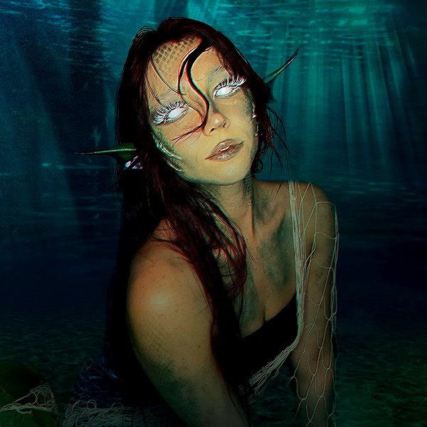 parkenharbor instagram image archive image