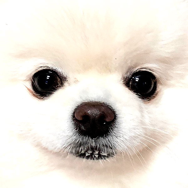 dear.zia instagram image archive image