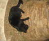 meiiisame Altpins Profile Picture