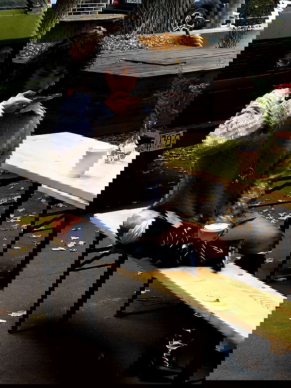 kkulakovaa image ~ Altpins