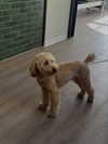 payton.r Altpins Profile Picture
