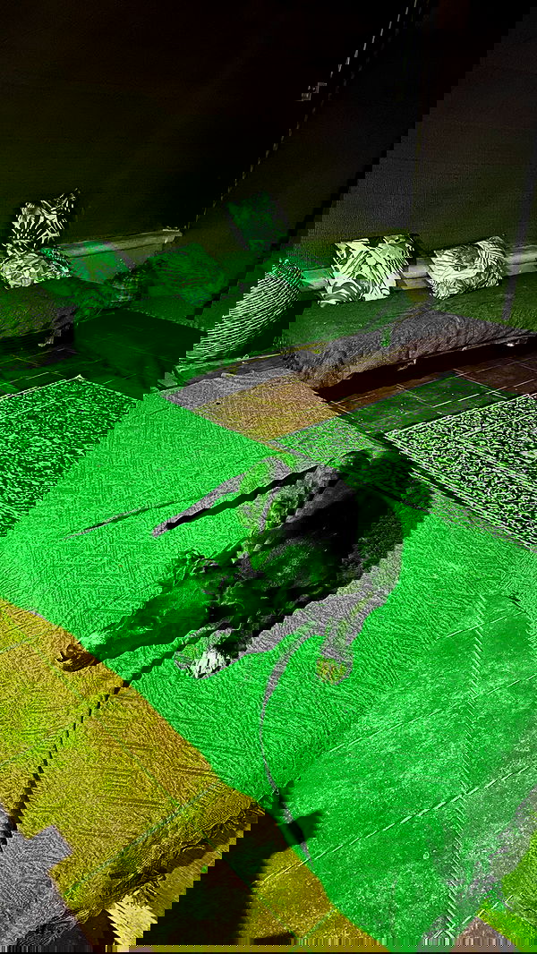 manjolamuriqi manjolamuriqi archive image