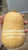 elohim_adirim Altpins Profile Picture