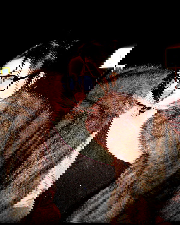 txxwwq txxwwq archive image