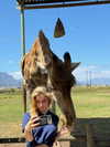 katiehamden_ Altpins Profile Picture