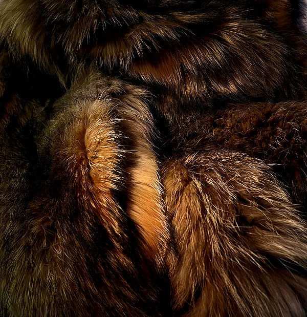 amatveyko instagram image archive image