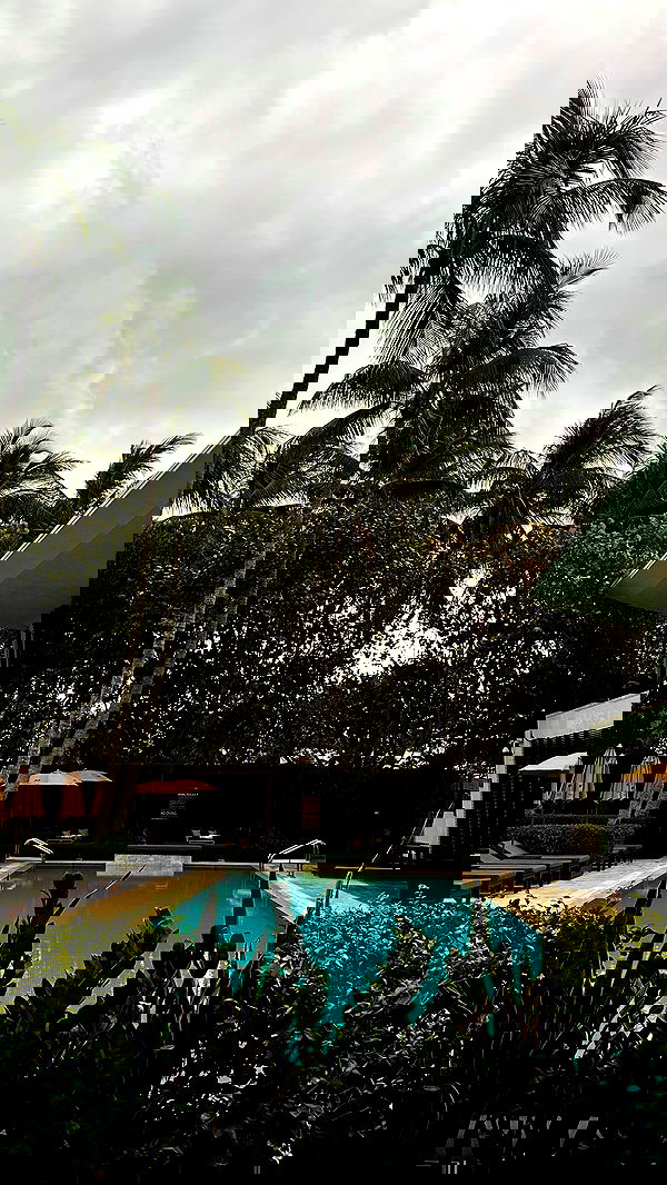 taylor.creeden taylor.creeden archive image