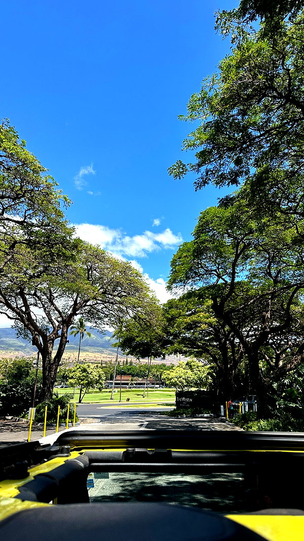 elsarca instagram image archive image