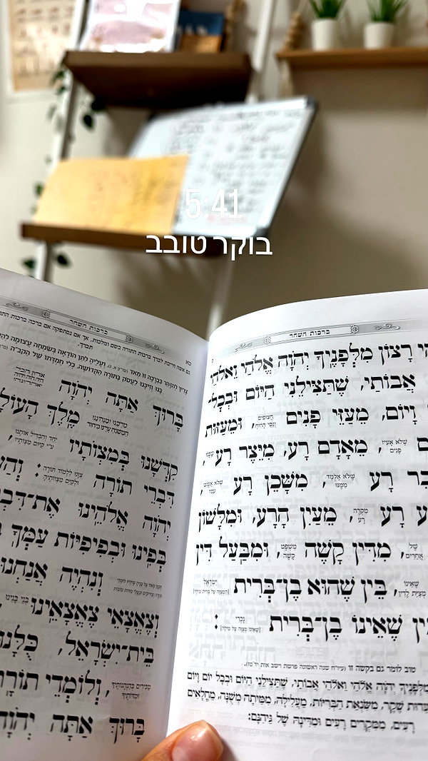 liad.arazi instagram image archive image